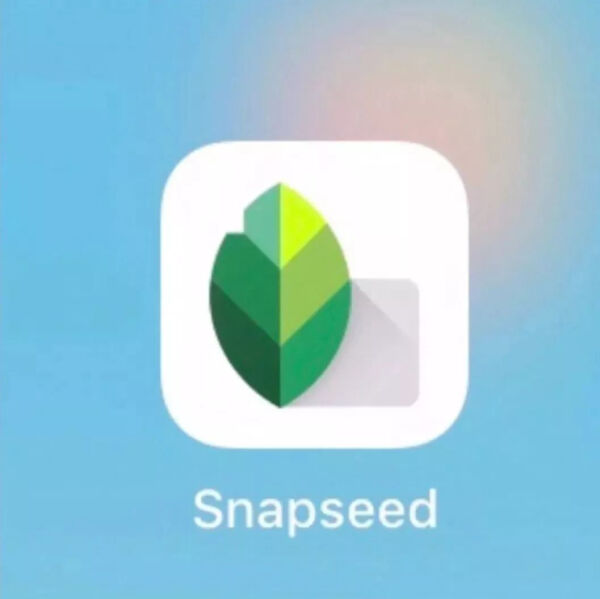 Snapseed最新版下载指南，掌握专业摄影编辑工具最新动态