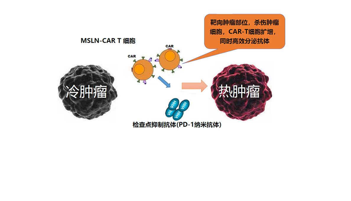 间质瘤最新临床试验新药，突破带来希望之光