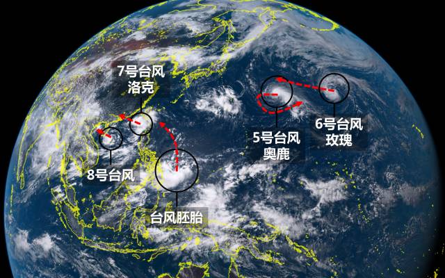 台风最新动态，影响与应对策略