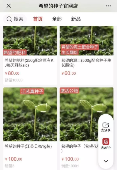 最新种子获取指南，探索生命之源的无限奥秘