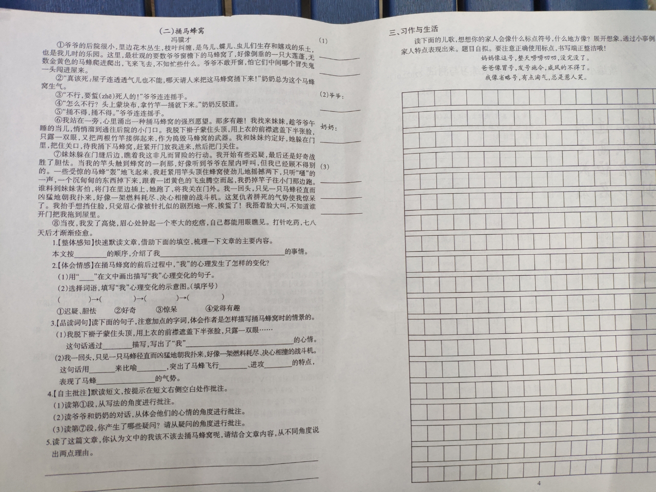 最新语文试卷深度解析