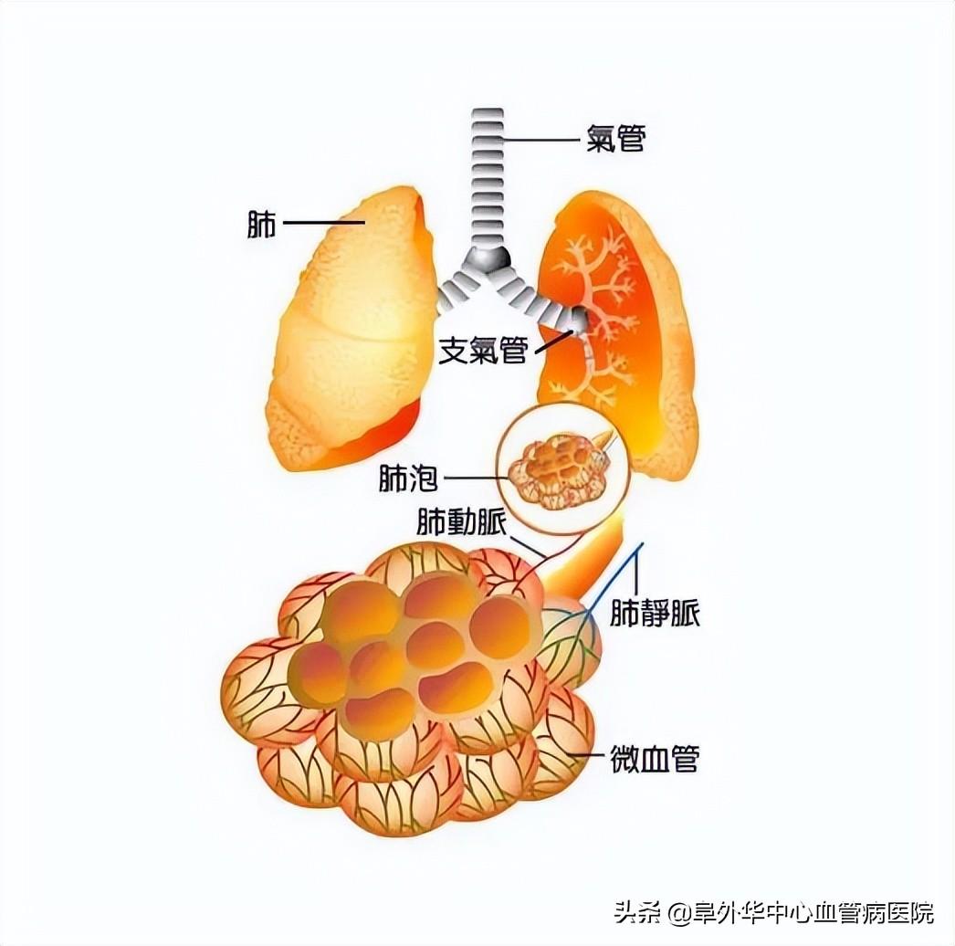 最新加氧机技术革新，重塑医疗领域新篇章