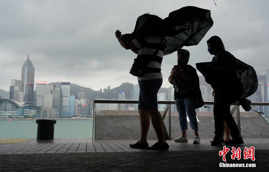 香港台风最新动态，全力应对风雨交加，保障安全