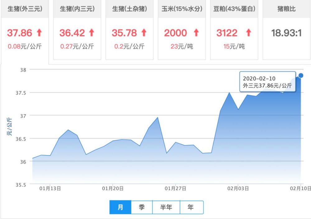 生猪今日价格最新动态及市场走势分析与预测概览