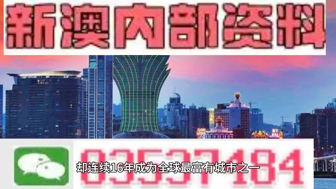 2024新澳历史开奖,效率资料解释落实_app79.464