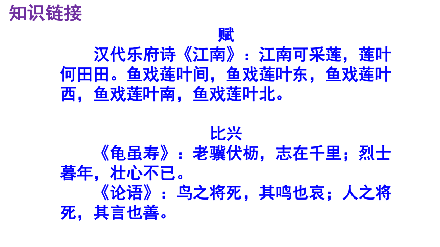 白小姐449999精准一句诗,高效计划设计_轻量版68.439