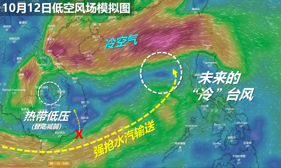 莲花台风动态更新，最新消息与影响分析