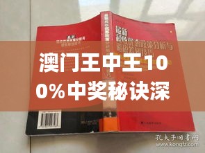 澳门王中王100%期期中,稳定性策略解析_扩展版68.945