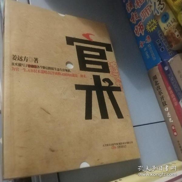 姜远方官术，权力之路的探寻与启示最新章节揭秘