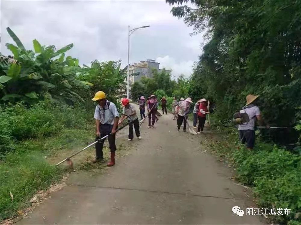 阳江创卫最新动态，城市卫生环境持续优化，全民共建共享美好成果