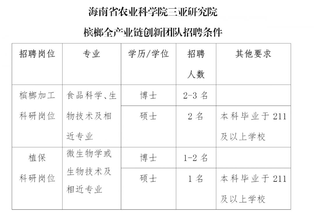 槟榔业务团队大招募，专业团队助力企业腾飞发展