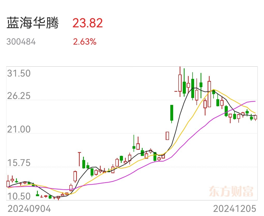 蓝海一号最新持股动向揭秘，深度解析及前景展望