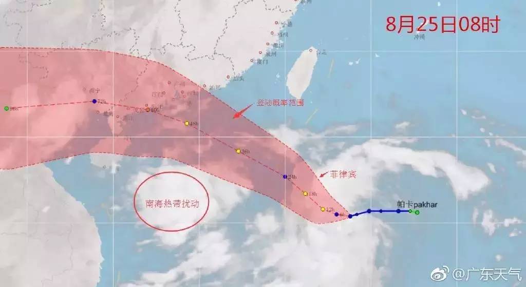 帕卡最新消息路径，探索前沿动态及其影响