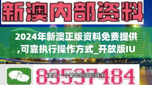 2024年新澳资料免费公开,正确解答落实_The99.218