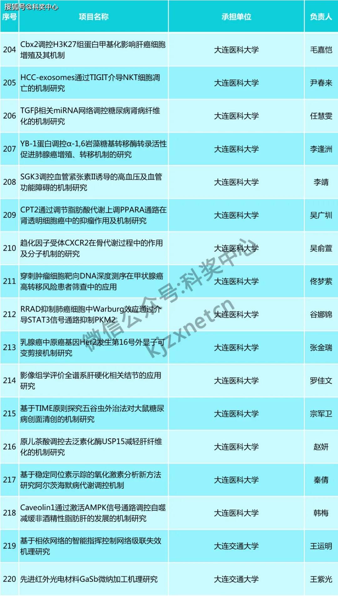 新澳门内部一码精准公开,数据驱动计划_1080p40.122