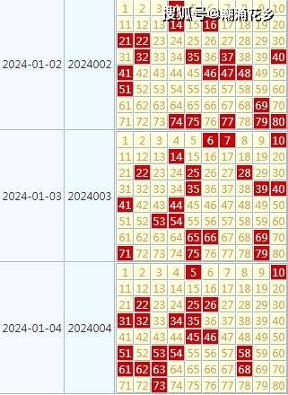 2024年天天开好彩大全,结构化评估推进_VE版10.49