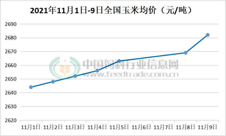 山东玉米最新行情深度解析报告