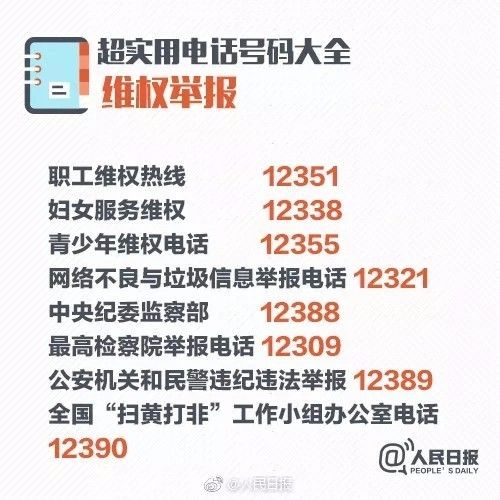 2024新奥正版资料最精准免费大全｜实用技巧与详细解析