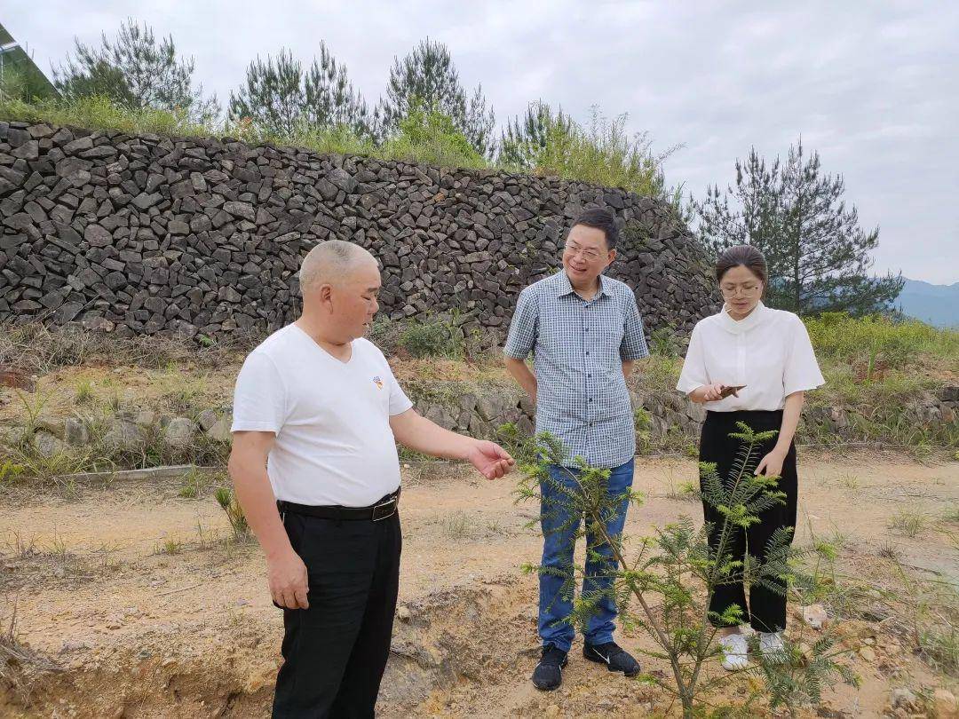 秋炉乡打造繁荣与进步新时代乡村的规划发布