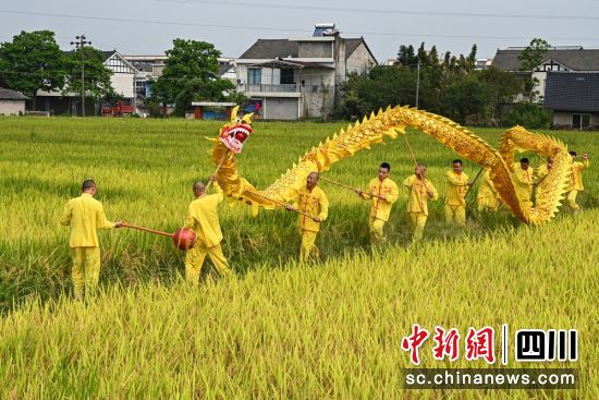 洪雅县农业农村局最新发展规划概览