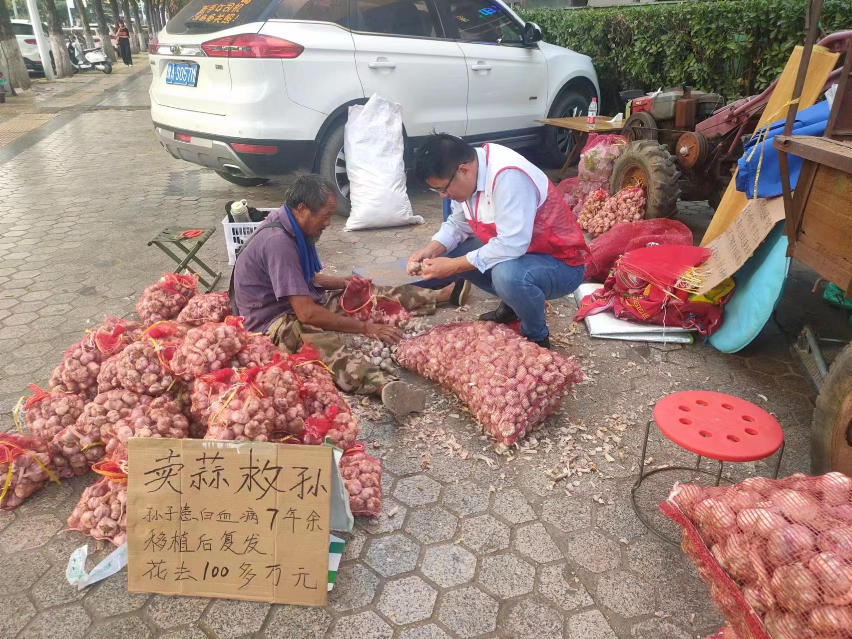 中牟大蒜价格最新行情报告