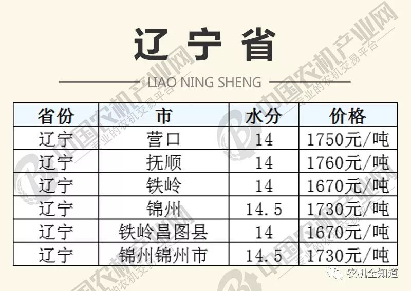 辽宁玉米价格最新行情解析