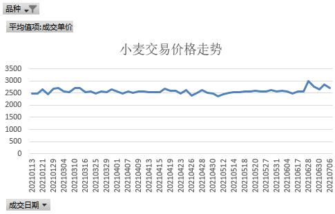 麦子价格最新行情解析