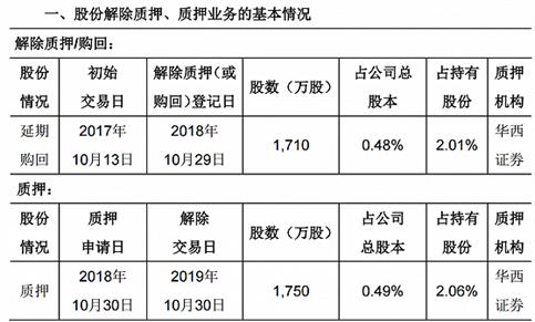 康得新最新公告深度解读与解析