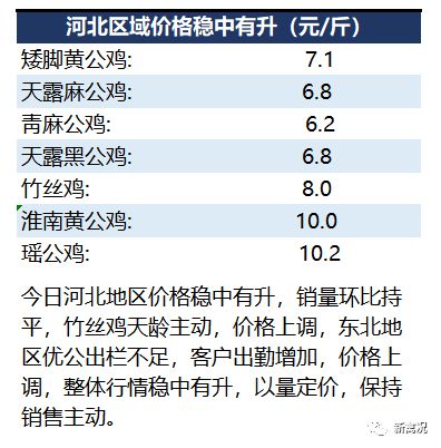 鸡价网最新动态解析报告