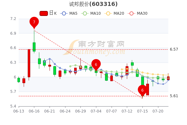 诚邦股份最新消息全面解读与分析