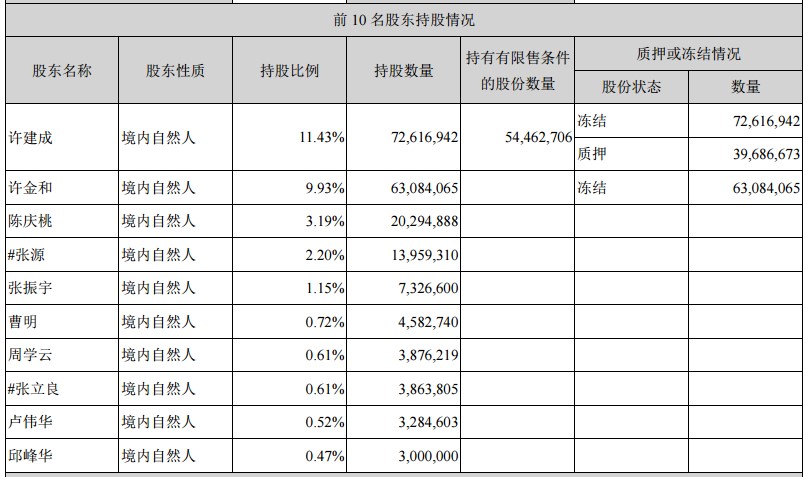 陈庆桃持股最新深度解读与未来展望