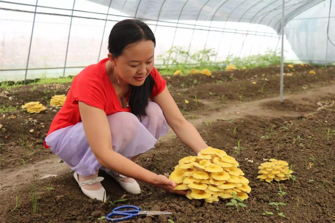 乡聊最新版下载，重塑乡村沟通的新桥梁