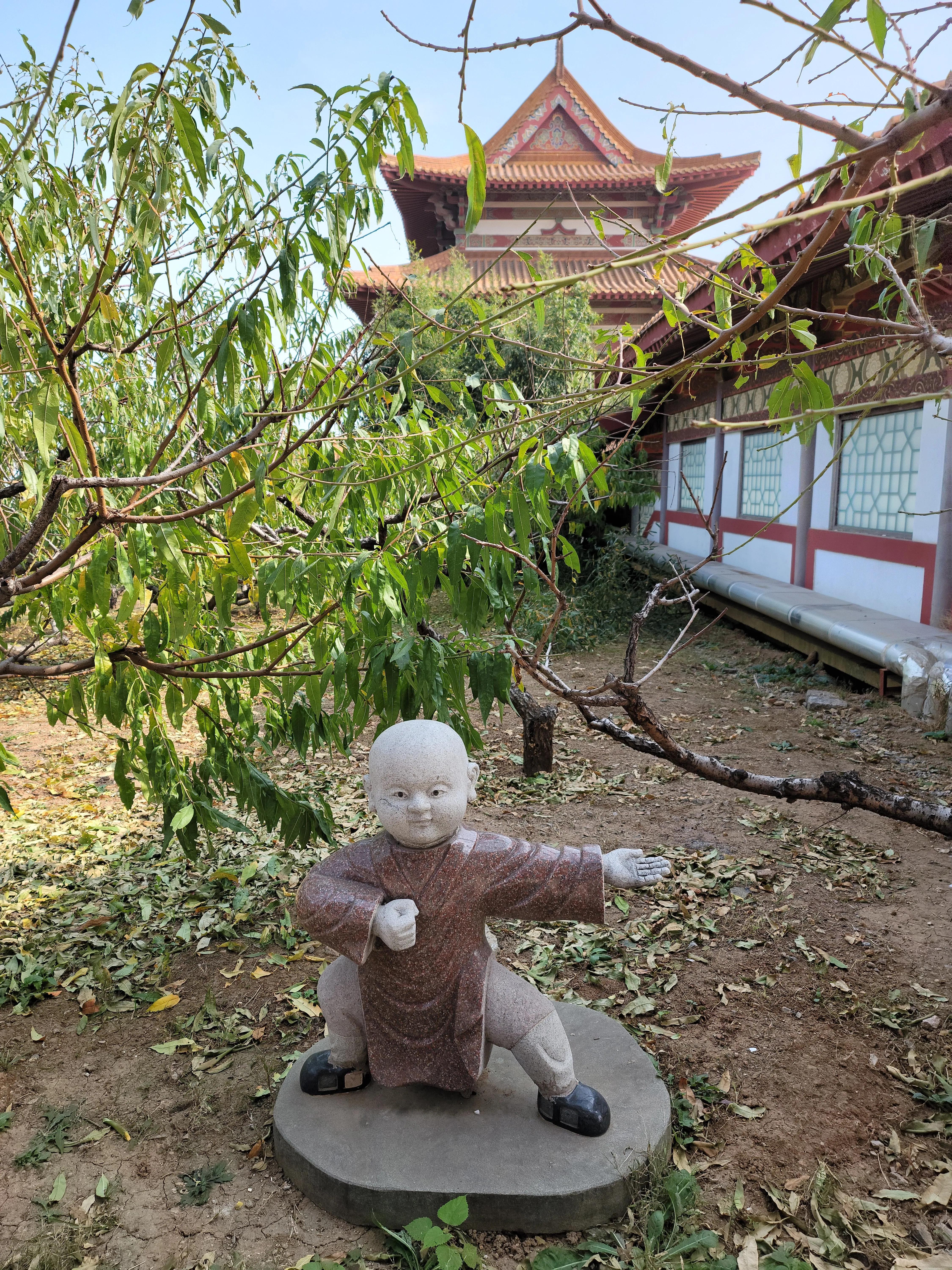 最新导游证，开启旅游事业之旅的大门