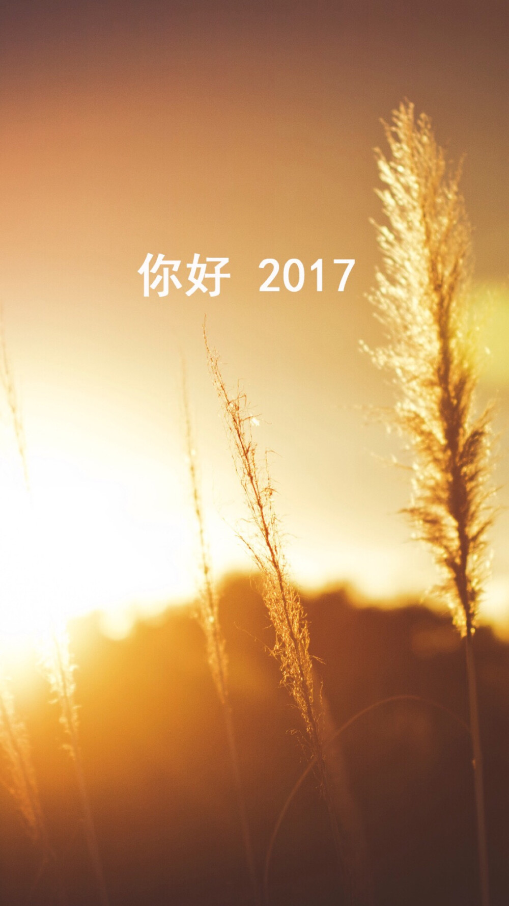 探索时尚前沿，精选2017最新墙纸图片展示