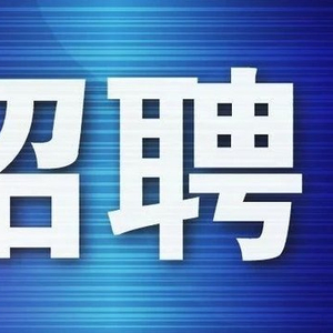 通州招聘网最新招聘动态深度解读报告