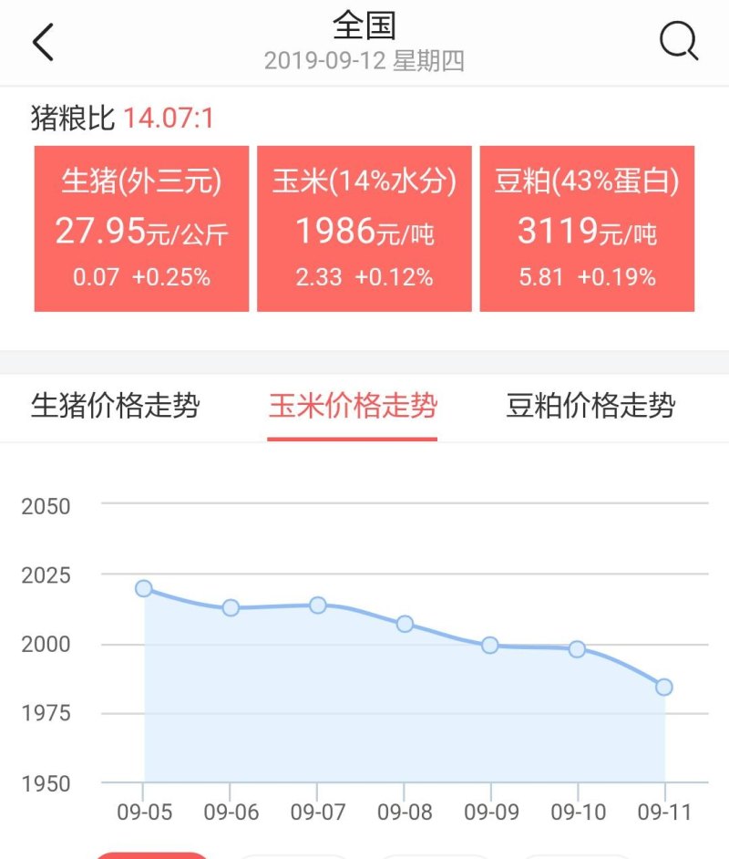 今日玉米市场走势分析，最新消息与预测