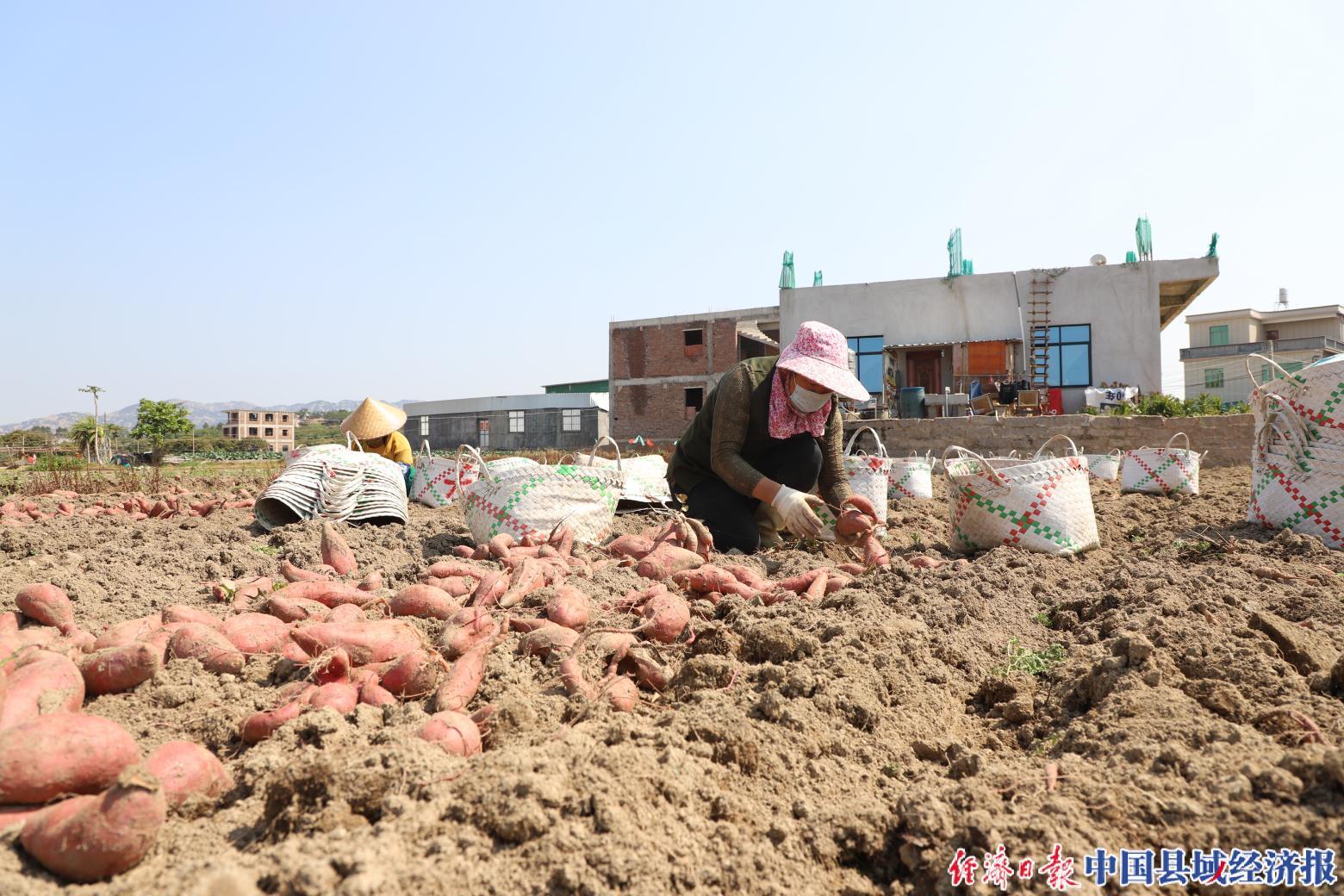 漳浦县公路运输管理事业单位领导概况更新