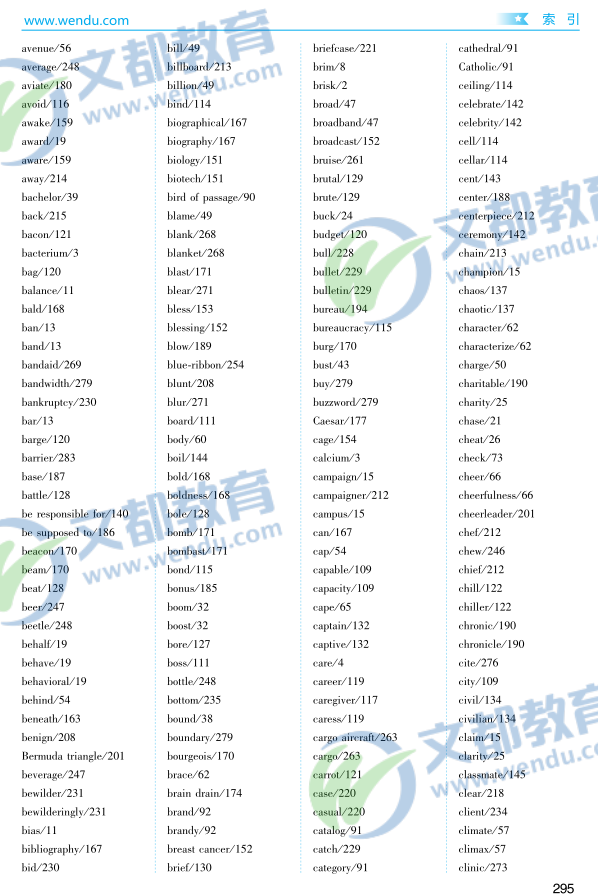 2017年最新词汇影响力与趋势深度解析