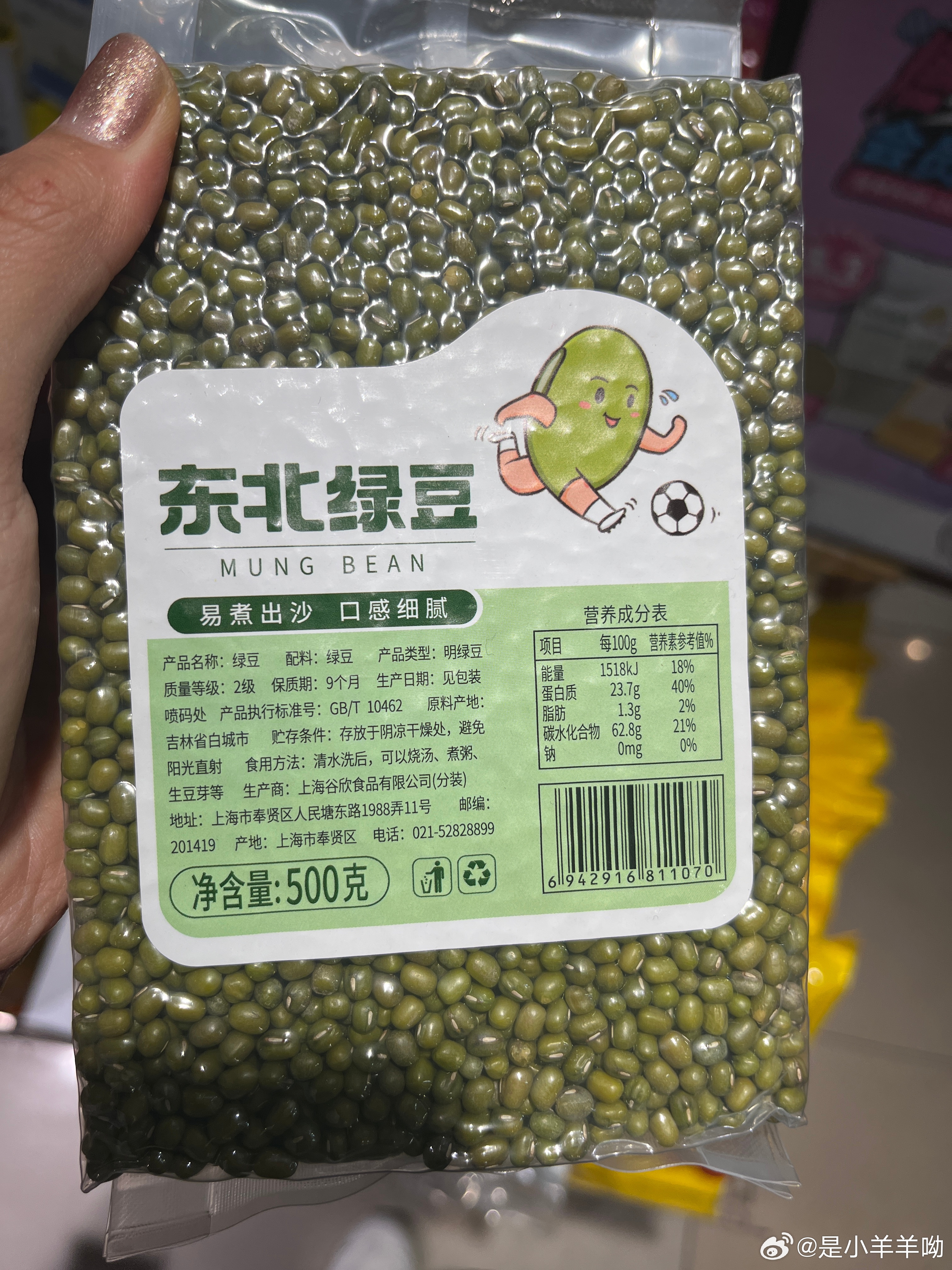 东北绿豆最新价格动态解析