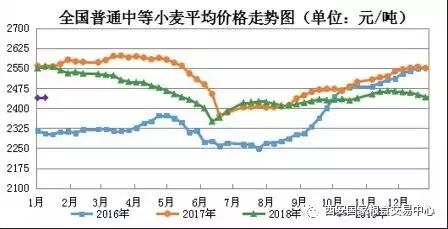 德州小麦最新价格动态解析