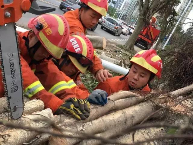 台风天鸽最新动态全面解析