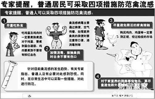 禽流感最新人数影响及全球防控挑战与应对策略