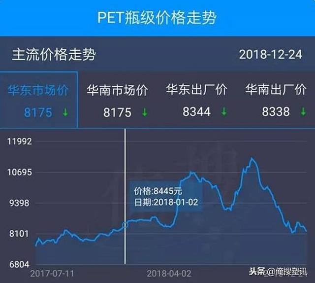 宠物市场最新动态行情解析