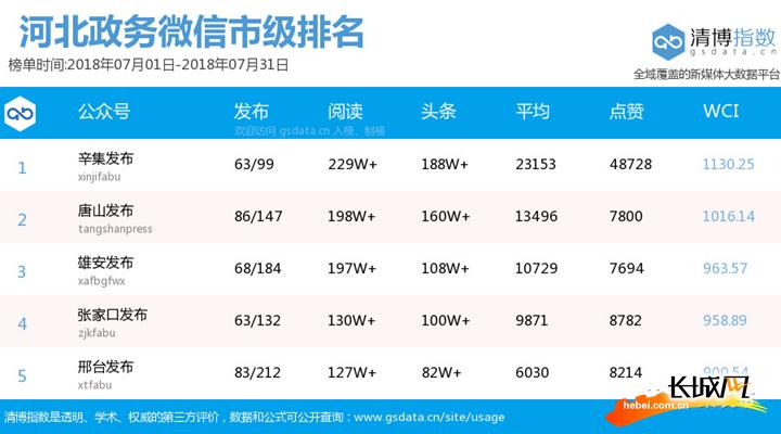 辛集市数据与政务服务局最新项目概览，推动数字化转型与政务服务升级